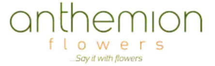 Best Discounts & Deals Of Anthemion Flowers